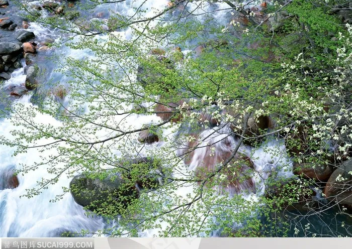 细水长流-石块间的溪水