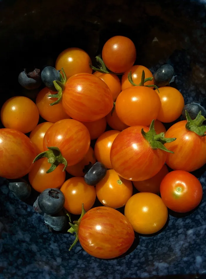 转基因食物图片