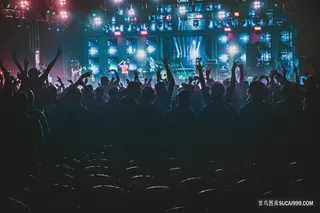 演唱会现场狂欢的人群图片