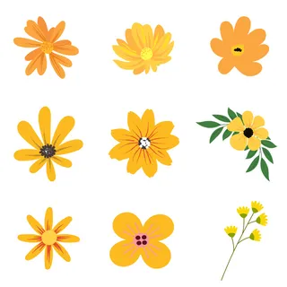 黄色春季花卉花朵元素插画