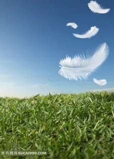 高清草原风景图片下载