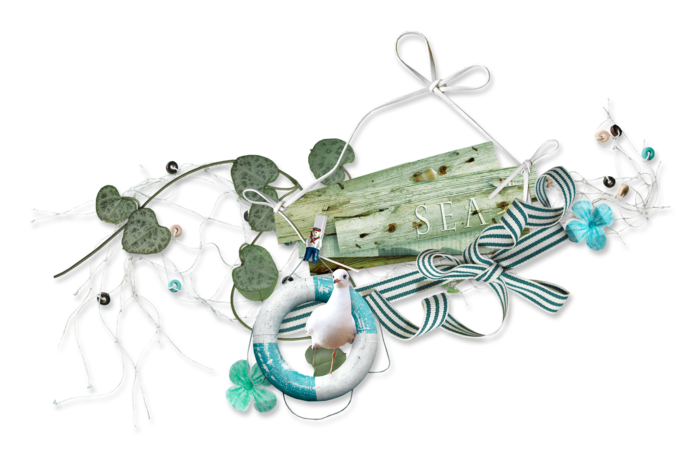 夏天 海 航海的 海滩 海洋 旅行 海岸 热带