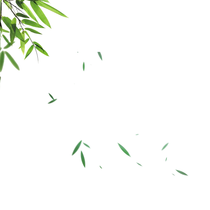叶子|飘落|绿色|背景