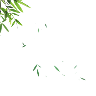 叶子|飘落|绿色|背景