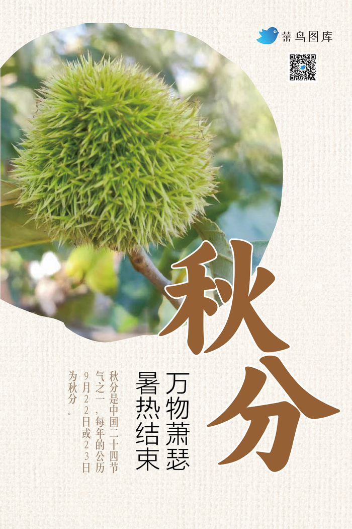 二十四节气秋分海报设计ai矢量模版下载