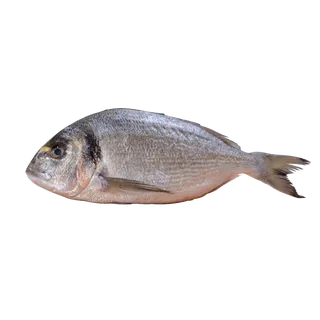 鱼类(61)海鲜超市商品红酒白底图免抠实物摄影png格式图片透明底