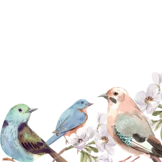 插画春鸟免抠素材