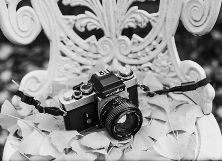 数码相机黑白图片