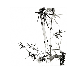 竹子水墨画中国风国画墨水书法竹子画
