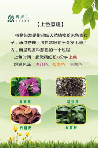 植物染发上色原理海报