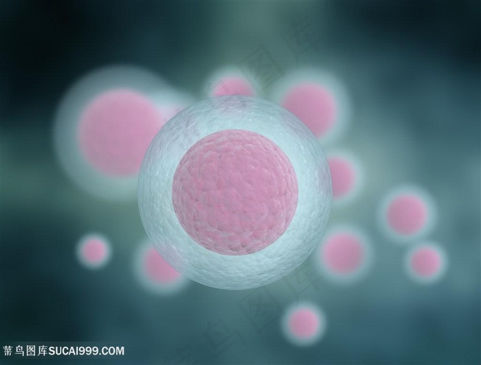 细胞细菌生物研究高清图片