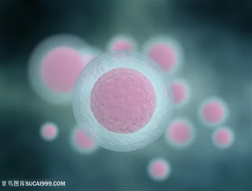 纳米细胞微观图片