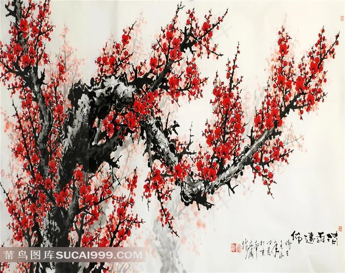 国画梅花艺术图片