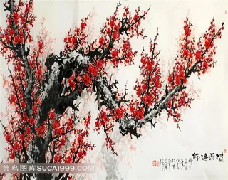 国画梅花艺术图片