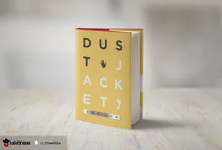 简约画册样机展示效果