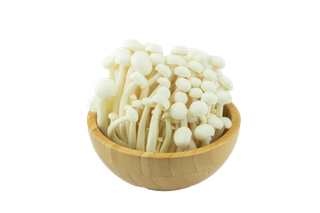 海鲜菇 (6)超市商品白底图免抠实物摄影png格式图片透明底