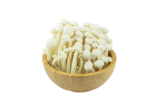 海鲜菇 (6)超市商品白底图免抠实物摄影png格式图片透明底