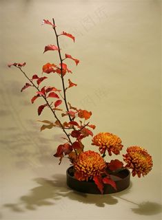 漂亮的花朵插花图片