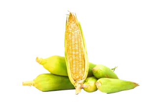 玉米 (3)超市商品白底图免抠实物摄影png格式图片透明底