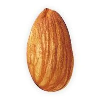 杏仁 PNG免抠