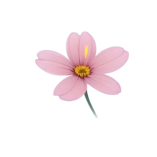 花免抠(2048x2048)