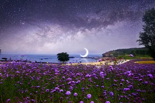 高清唯美星空夜空山水花朵