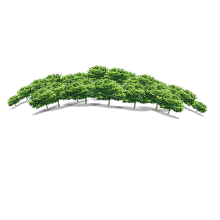 绿色树木装饰素材