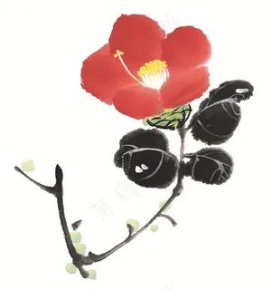 花卉大图jpg素材 (2) 花卉大图jpg素材 (2)