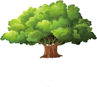 植树节树木大树抠图矢量绿色