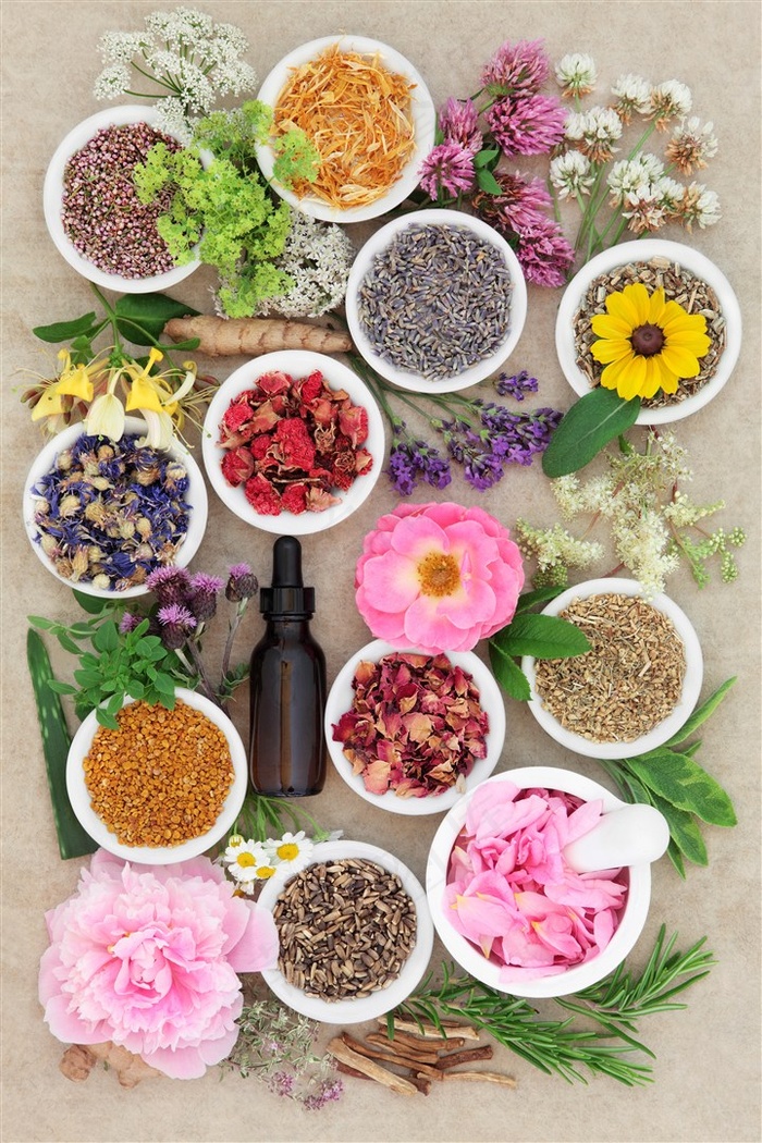 唯美的各种干花