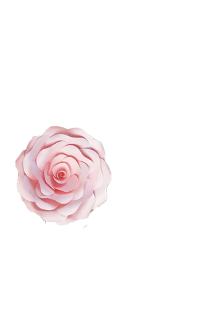 免抠雏菊山茶花植物矢量