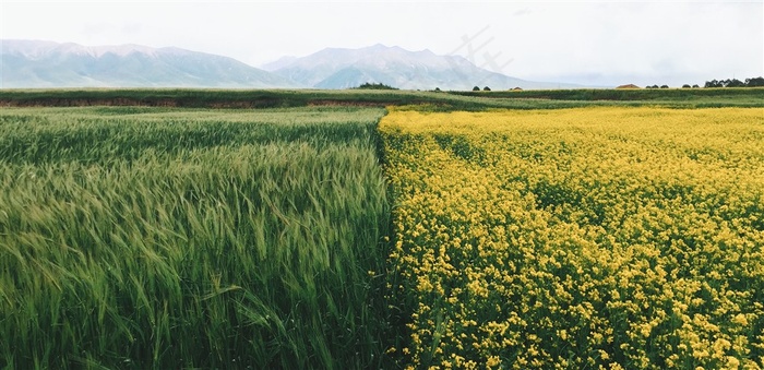 乡村风景，农村
