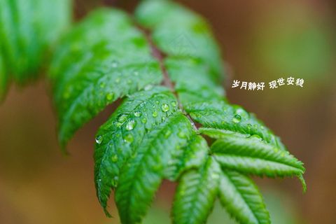 暖心短句小清新8字 暖心短句小清新8字