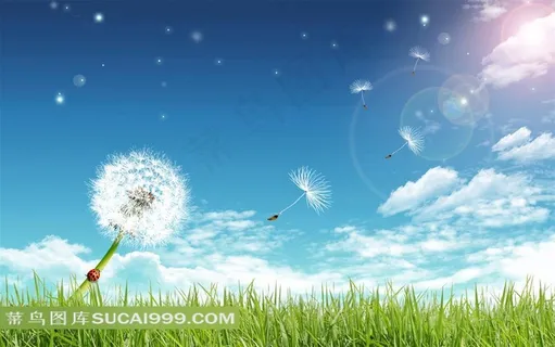 蓝天草地蒲公英唯美风景 蓝天草地蒲公英唯美风景