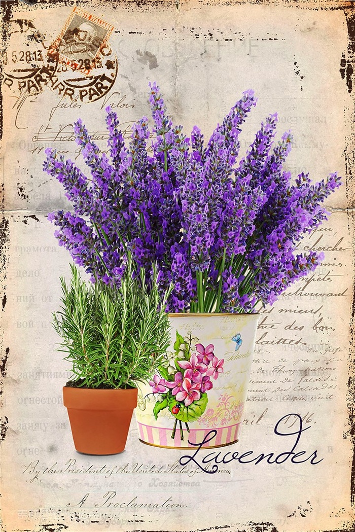 欧式薰衣草装饰
