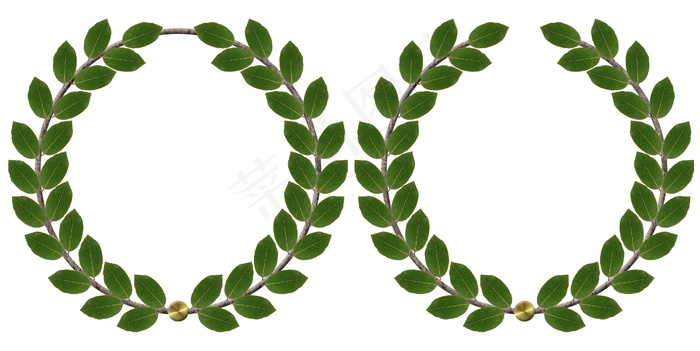 月桂花环png素材图片
