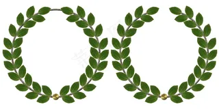 月桂花环png素材图片