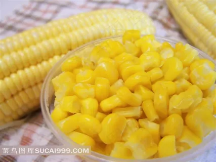 新鲜黄金玉米和饱满的玉米粒