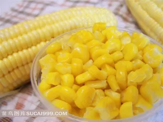 新鲜黄金玉米和饱满的玉米粒