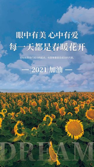 励志简约清新企业文化摄影图海报