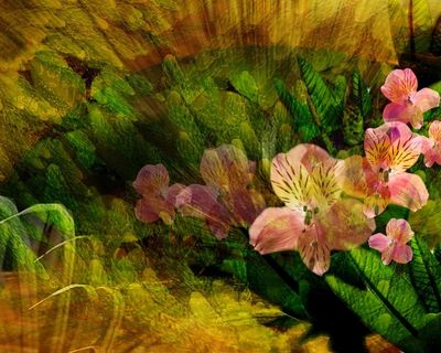 图片设计素材背景鸟语花香