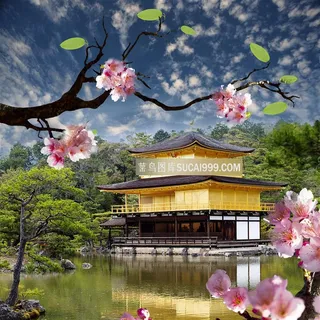 日本樱花建筑风景图片 日本樱花建筑风景图片