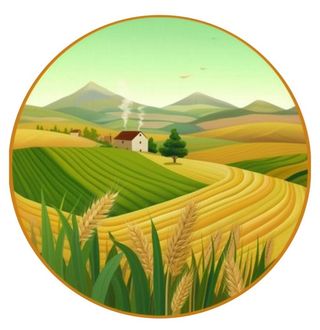 小麦麦穗稻穗边框画风景