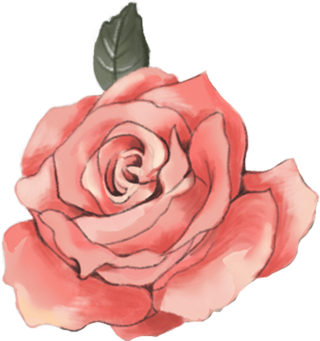 鲜花玫瑰免扣素材