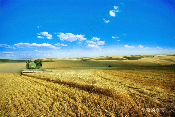 蓝天下正在收割的收割机摄影