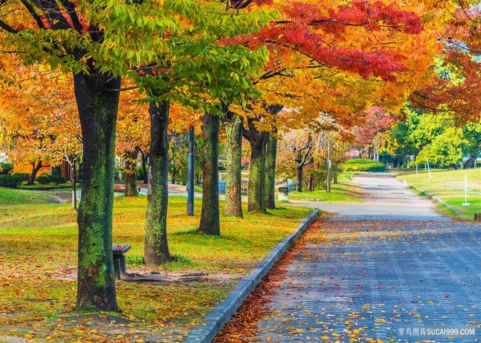 唯美秋日园林风景图片