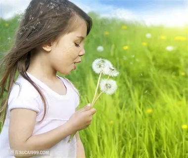 蒲公英风中飞舞的小女孩儿童图片 蒲公英风中飞舞的小女孩儿童图片