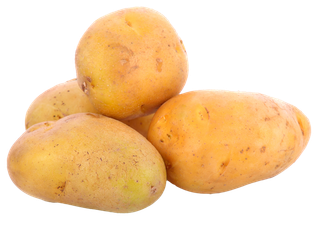 土豆 (23)超市商品白底图免抠实物摄影png格式图片透明底