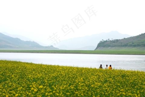 油麦田边的山川