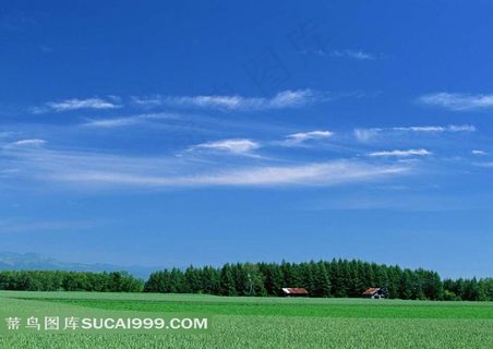 陆地旷野两座房子